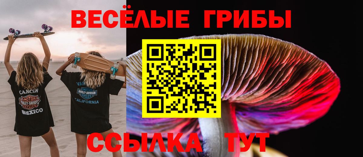 Галлюциногенные грибы MAGIC MUSHROOMS  Вход с VPN  Галлюциногенные грибы MAGIC MUSHROOMS  Мегион 